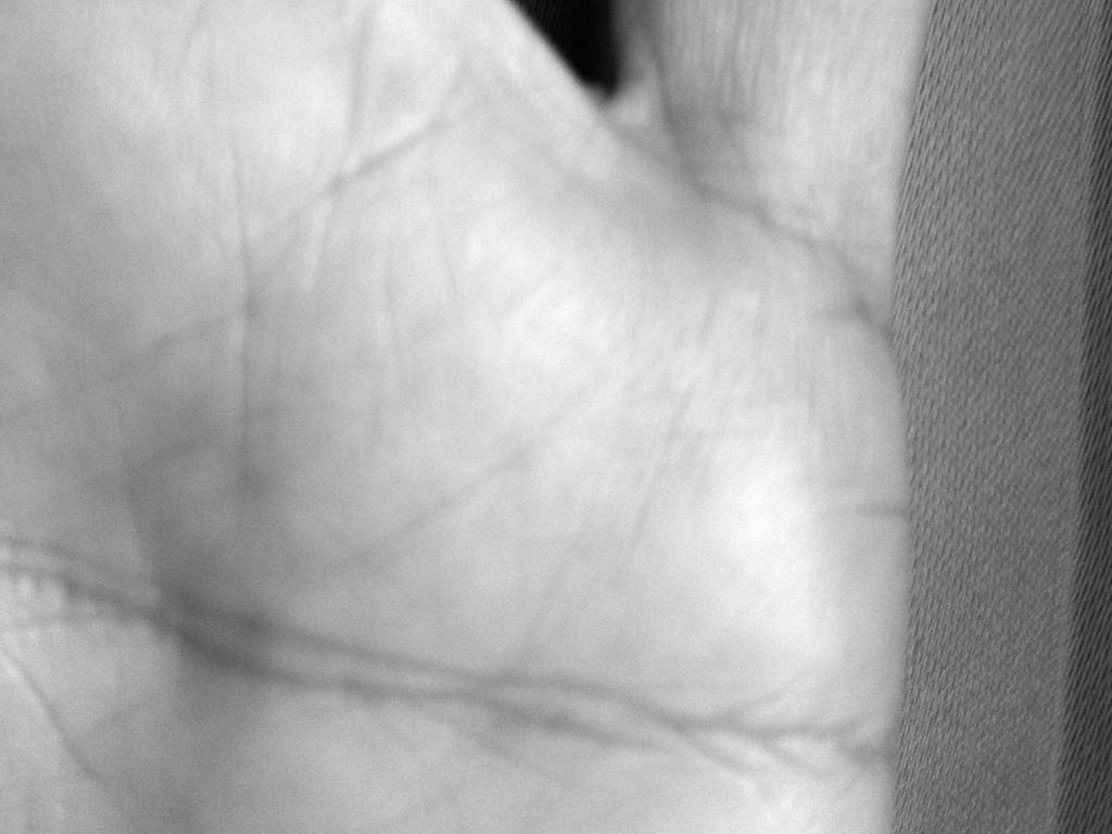 Healer's Lines - How To Read Hands