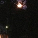 IMG_1470