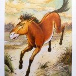 Knight of Pentacles