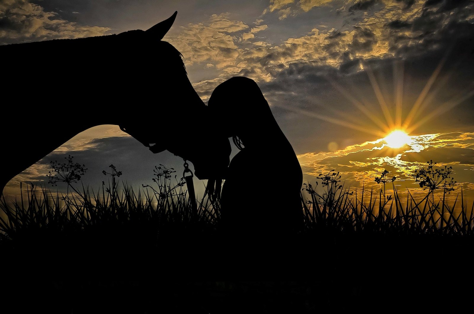 Image by Anja-#pray for ukraine# #helping hands# stop the war from Pixabay