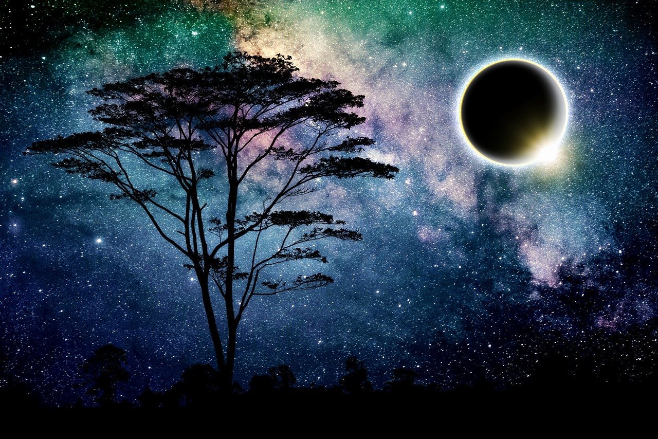 Lunar Eclipse and Lone Tree against Night Sky